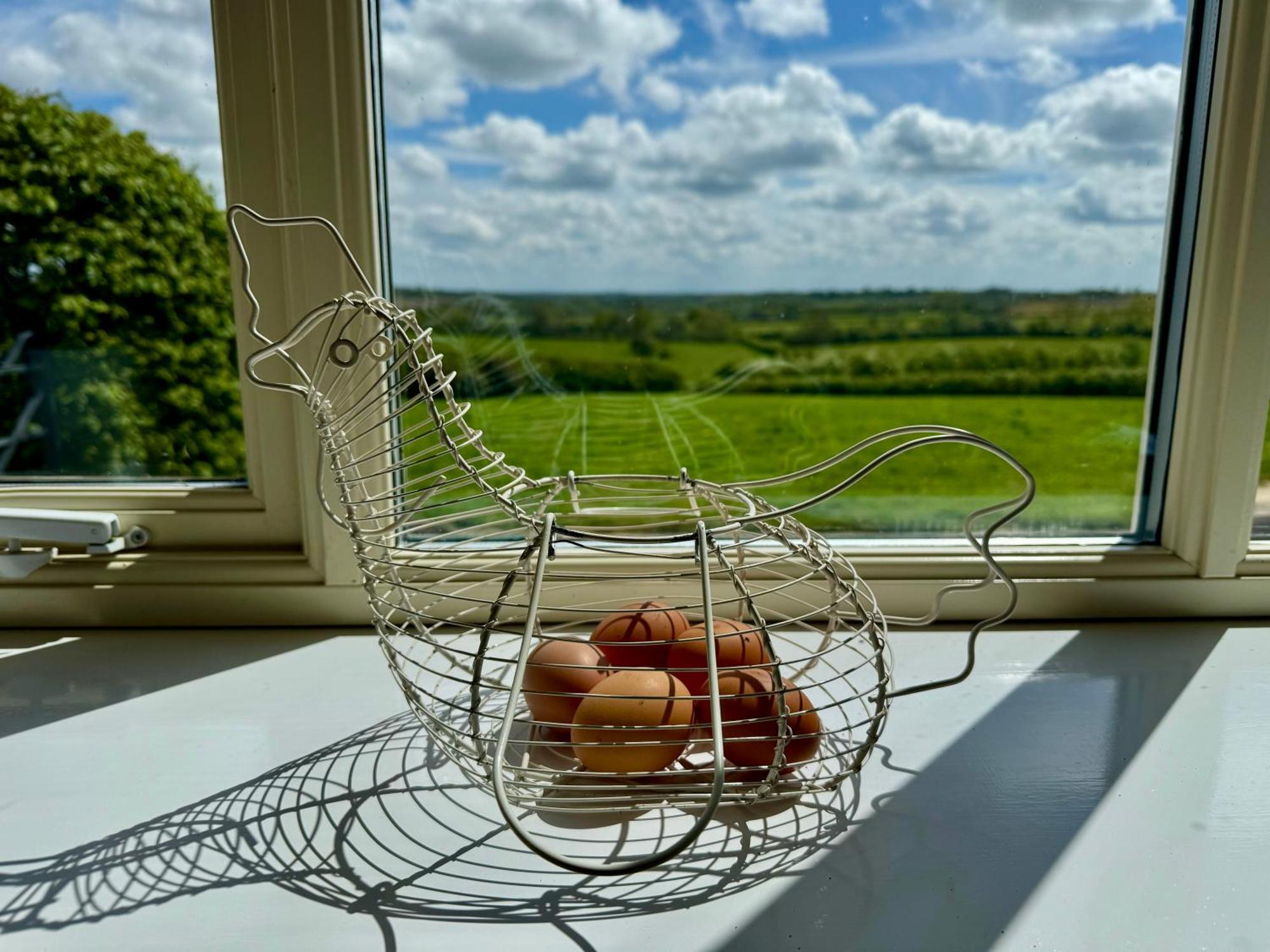 Cockley Hill Farm Bed & Breakfast 브래클리 외부 사진